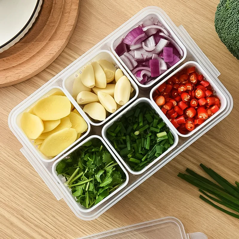 Simple Refrigerator Crisper β Single-Layer 6-Grid Green Onion Compartment Organizer