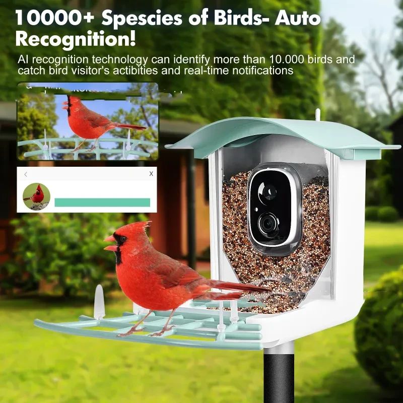 Smart Solar Bird Feeder with Camera β Outdoor Waterproof AI Video Feeder with App Control