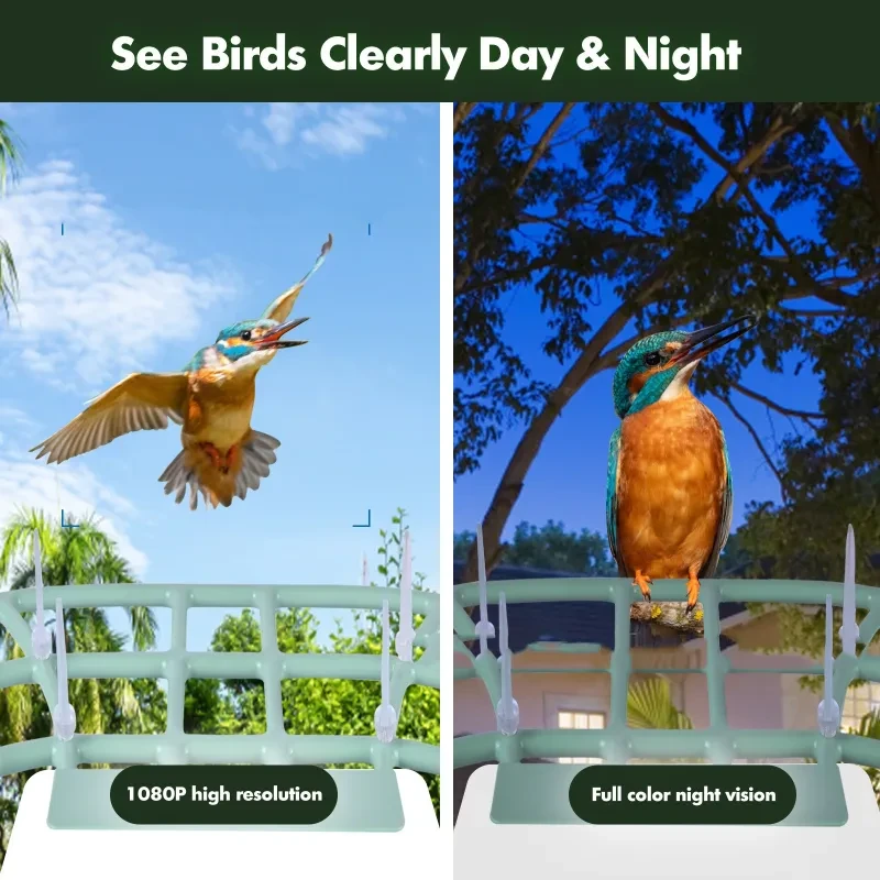 Smart Solar Bird Feeder with Camera β Outdoor Waterproof AI Video Feeder with App Control
