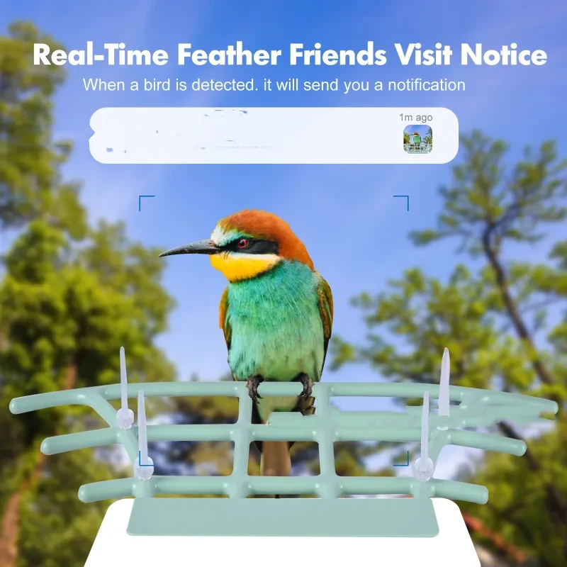 Smart Solar Bird Feeder with Camera β Outdoor Waterproof AI Video Feeder with App Control