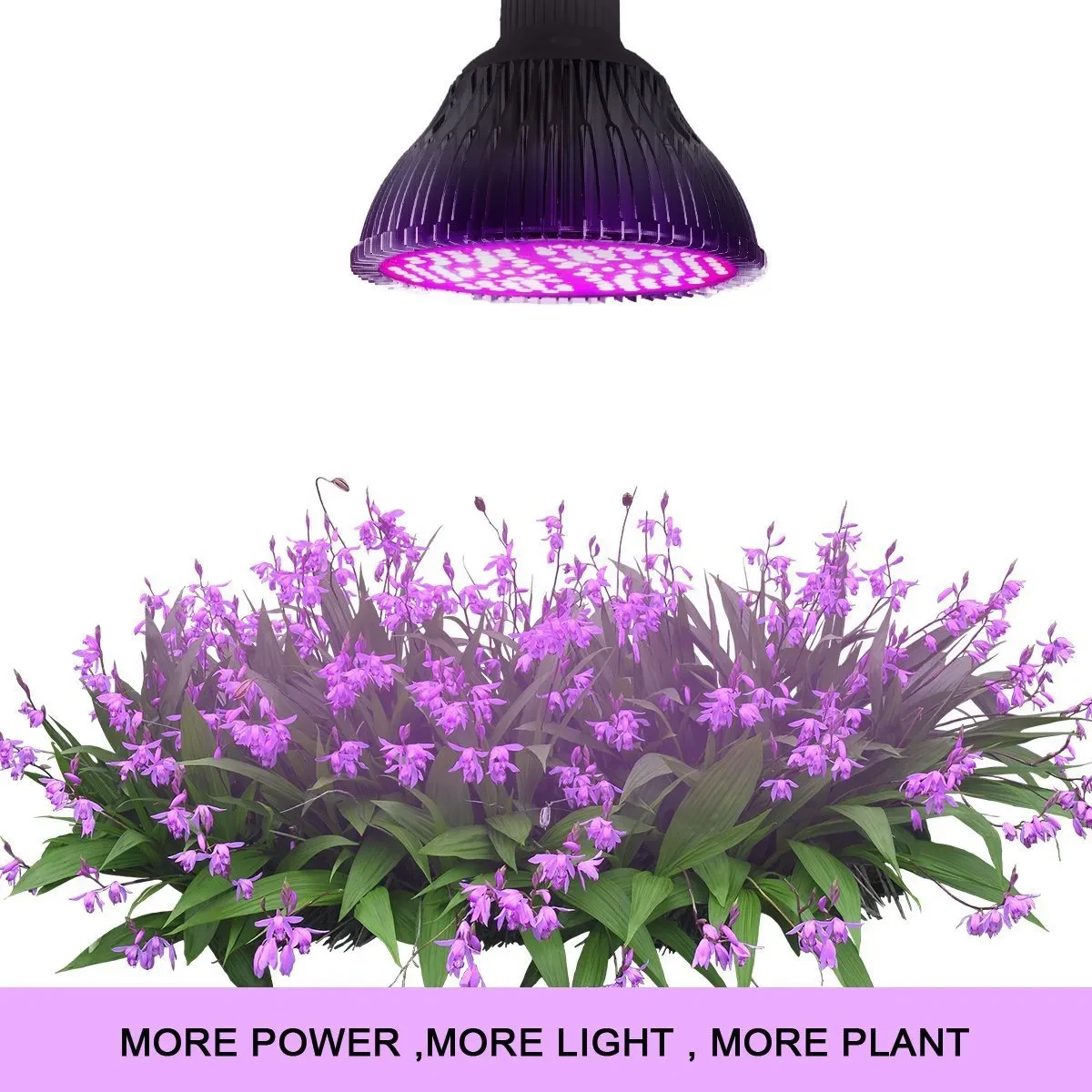 Full Spectrum LED Plant Growth Light – 50W Smart RGB Grow Bulb for Greenhouse & Indoor Plants