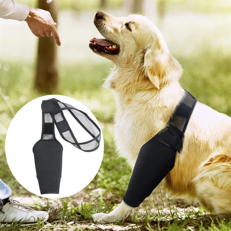 Dog Knee Brace for Leg Injury Support – Adjustable Canine Joint Wrap with Neoprene Fabric