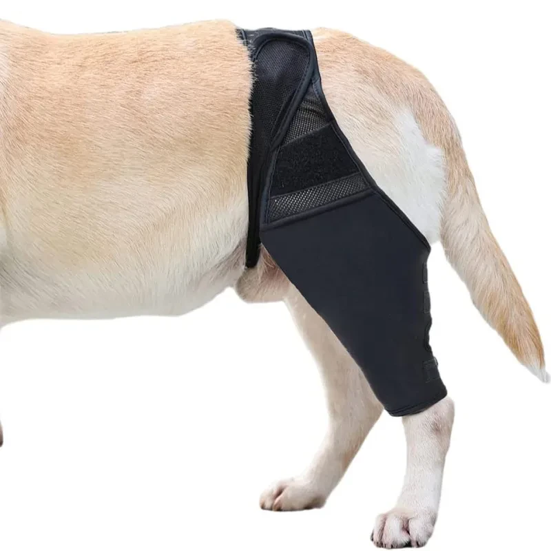Dog Knee Brace for Leg Injury Support – Adjustable Canine Joint Wrap with Neoprene Fabric