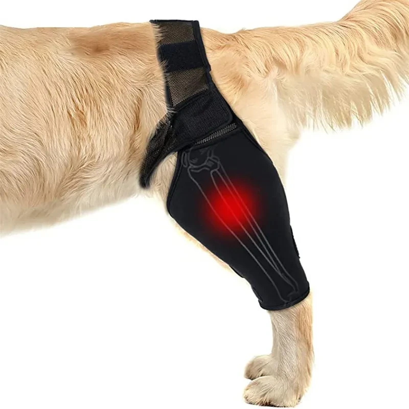 Dog Knee Brace for Leg Injury Support – Adjustable Canine Joint Wrap with Neoprene Fabric