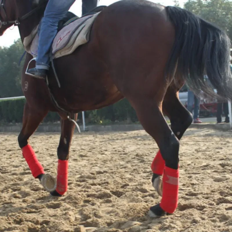 Horse Leg Wraps Set – 4-Pack Polar Fleece Leg Bandages with Adjustable Velcro Straps