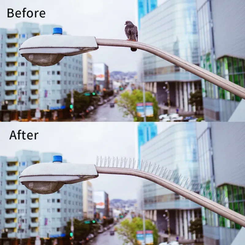 Bird Repellent Spikes – Stainless Steel Thorn Deterrent for Pigeons, Seagulls, and More