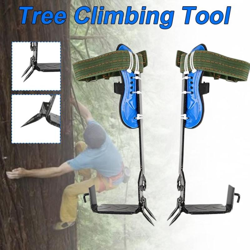 Tree Climbing Spikes – 5-Claw Tool for Climbing, Hunting & Picking