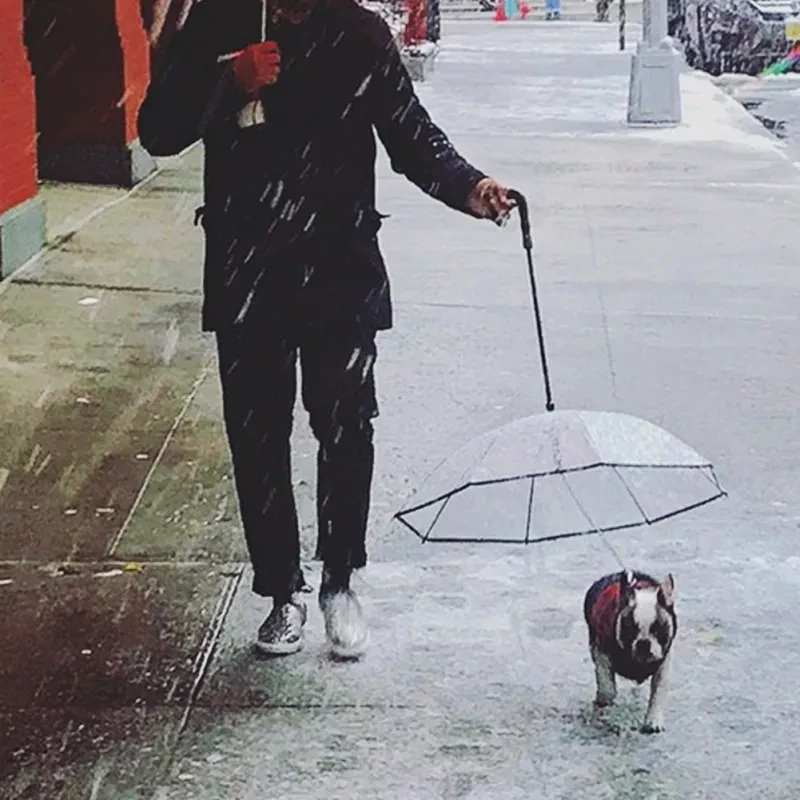 Transparent Dog Umbrella with Leash – Removable Pet Rain Cover