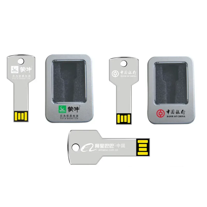 Metal Key USB Flash Drive