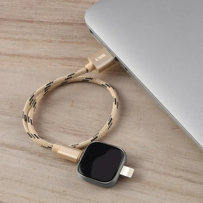 Dual-Use iPhone U Disk with Fingerprint Encryption & File Sharing
