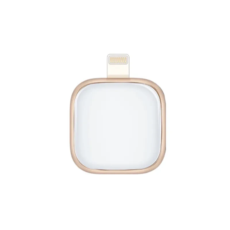 Dual-Use iPhone U Disk with Fingerprint Encryption & File Sharing