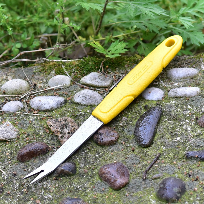 Stainless Steel Gardening Weeding Tool | Hand Fork for Plants & Soil