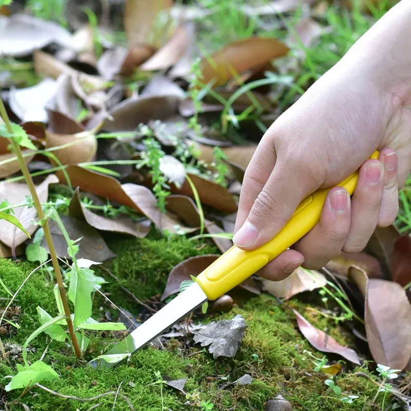 Stainless Steel Gardening Weeding Tool | Hand Fork for Plants & Soil