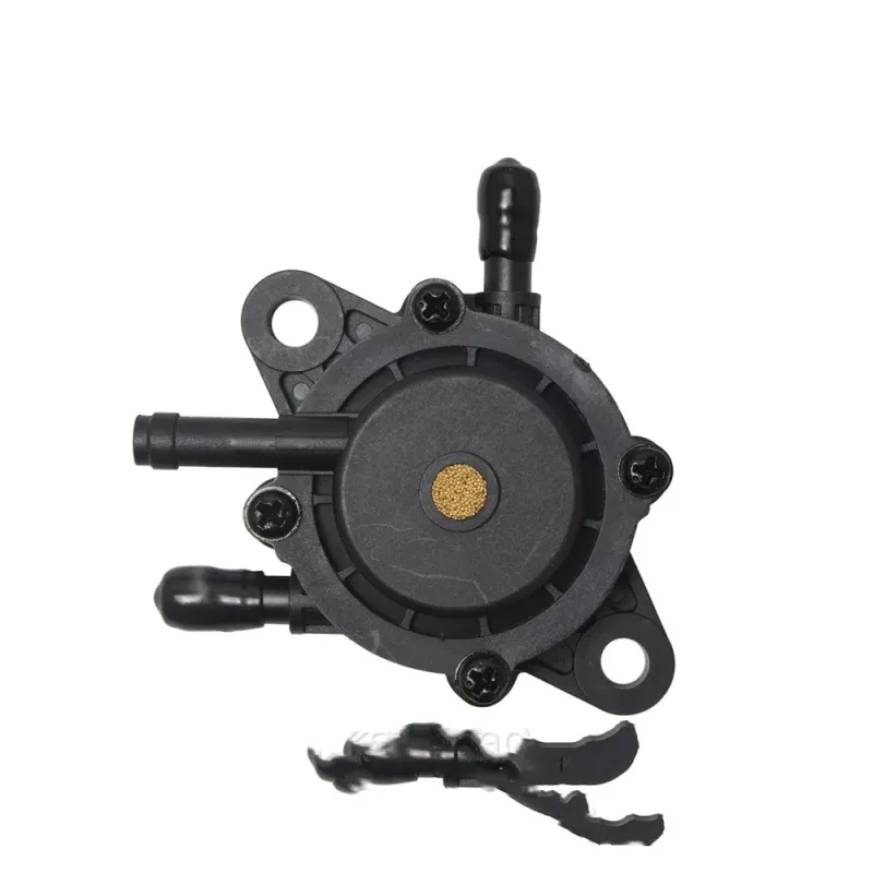 Blackstone Fuel Pump Replacement 491922 691034 692313 808492