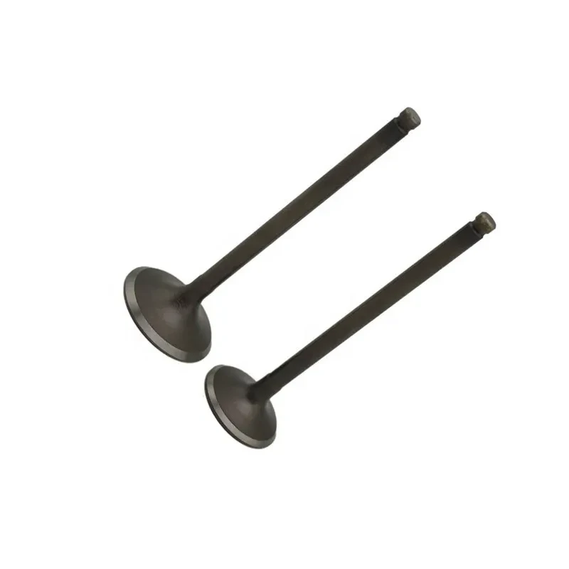 Heavy Truck & Bus Exhaust Valve – Natural Gas Engine Part