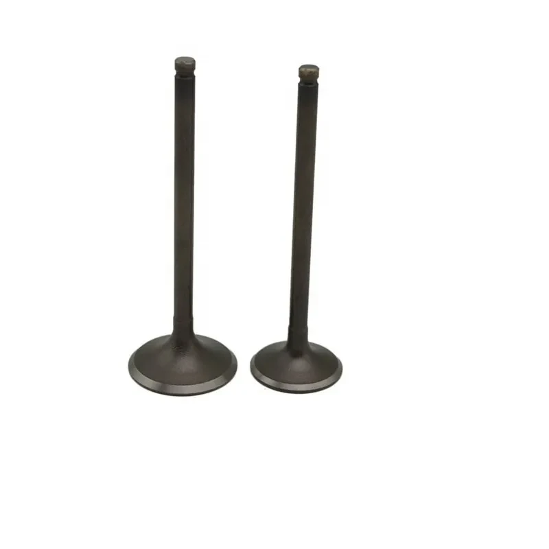 Heavy Truck & Bus Exhaust Valve – Natural Gas Engine Part
