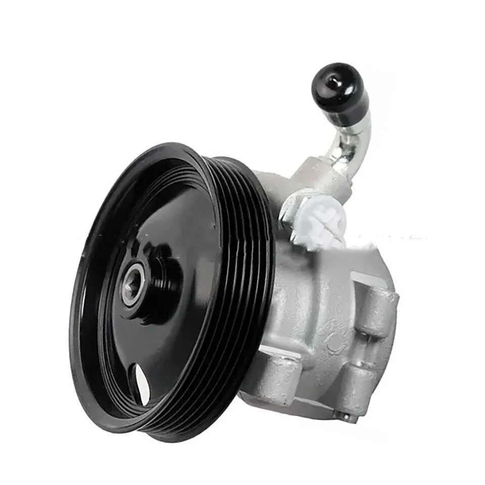Steel Power Assisted Steering Pump for Ford Vehicles