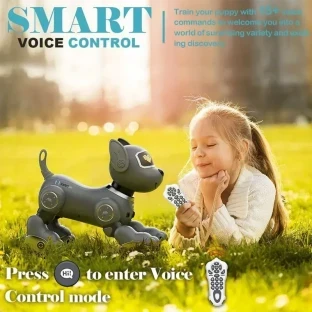 VATOS Interactive Robot Dog