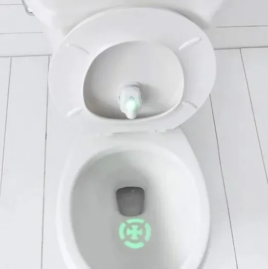 Automatic Toddler Toilet Training Target Light Motion Activated