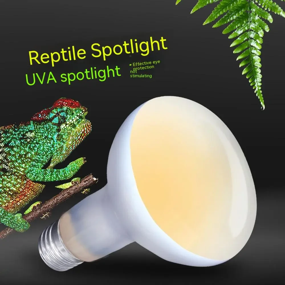 Daylight Heating Lamp for Reptiles with 220V and Multiple Watt Options
