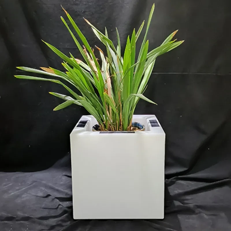 Luminous LED Flowerpot Lamp with Solar for Garden & Indoor Decor