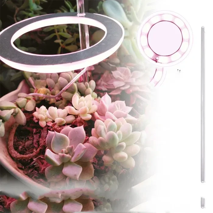 Sunlight LED Grow Lamp for Succulents & Indoor Plants