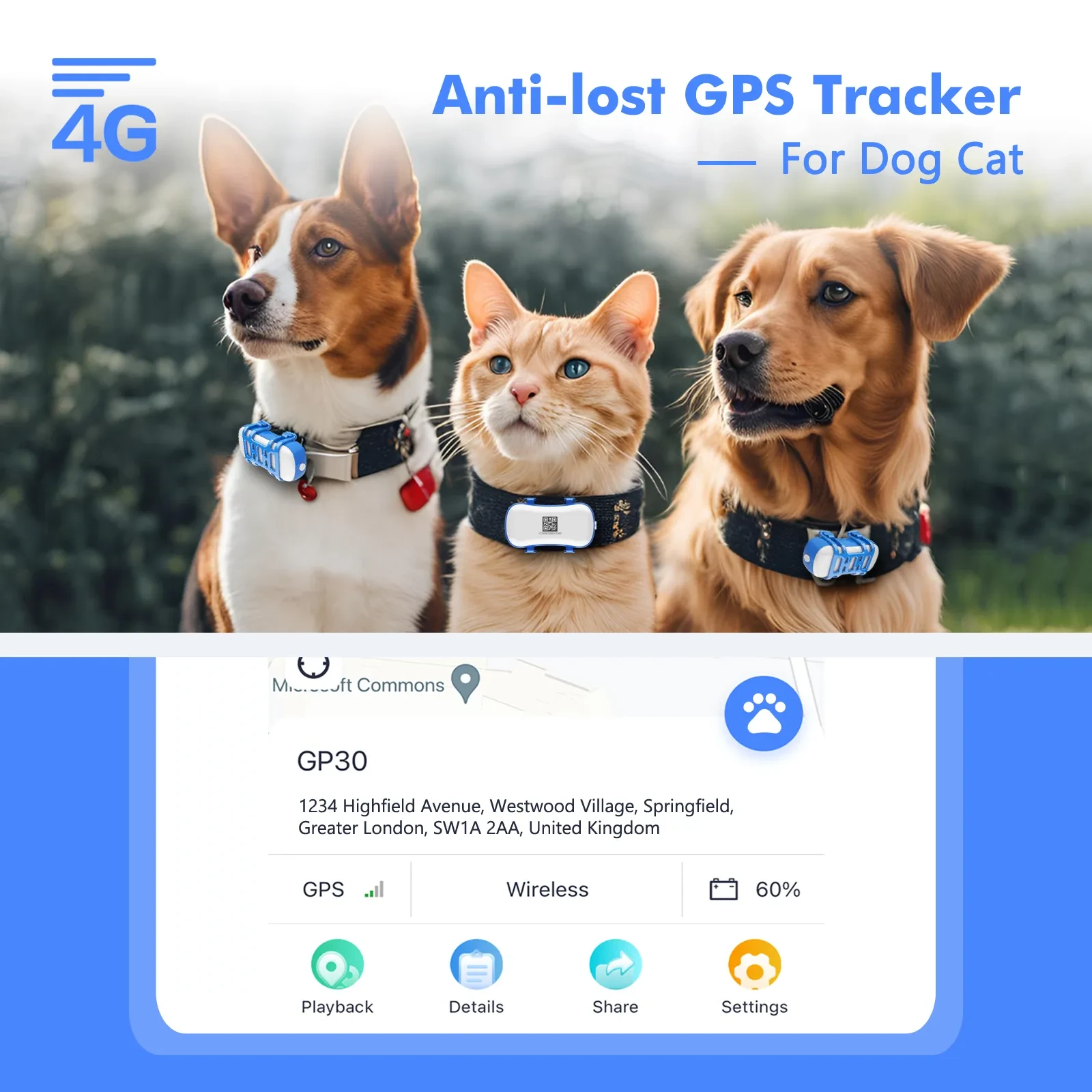4G Dog Cat GPS Tracker Waterproof Real Time AU Locator