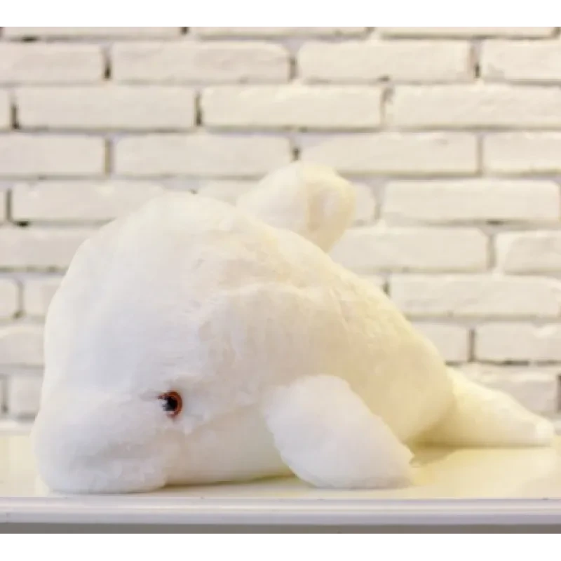 Colorful Glowing Dolphin Plush Toy