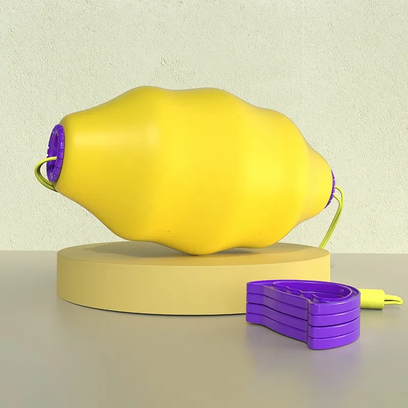 Rally Ball Interactive Toy