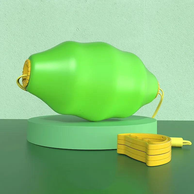 Rally Ball Interactive Toy