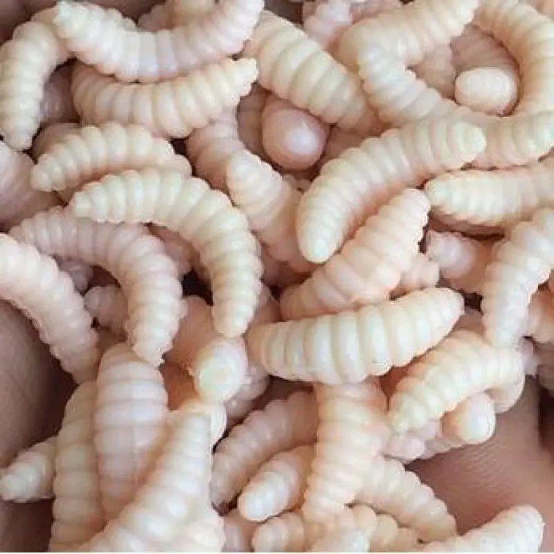 50pcs Artificial Soft Maggot Grub Fishing Lure Bait