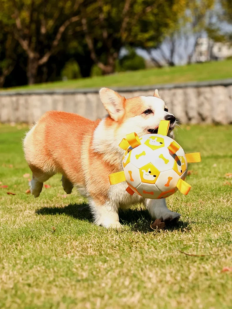 Enakshi Interactive Dog Soccer Ball