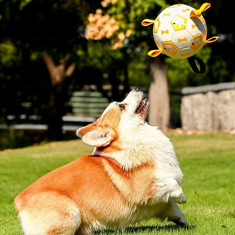 Enakshi Interactive Dog Soccer Ball