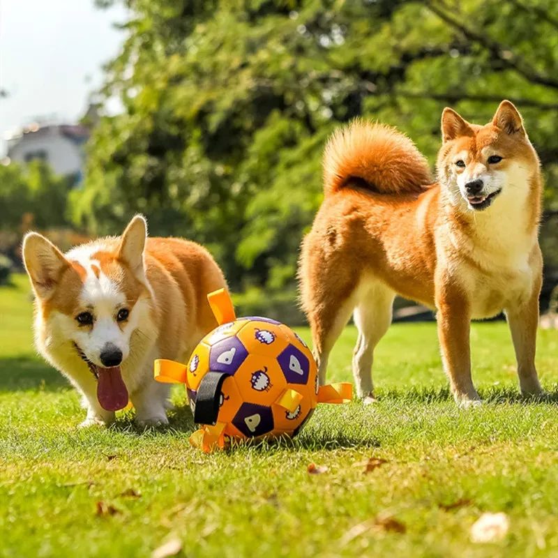 Enakshi Interactive Dog Soccer Ball